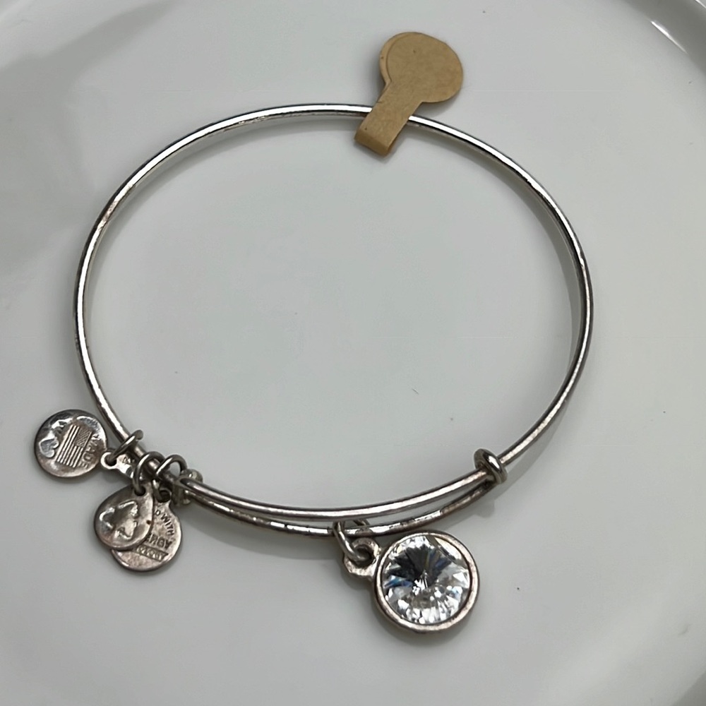 Alex and Ani Rafaleian Silver Diamond Crystal April Birthday Bracelet